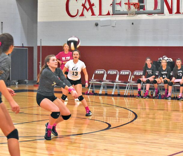 Caledonia, New Hope volleyball teams will Dig Pink again