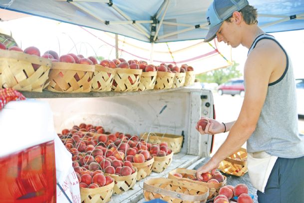 Summer Jobs Series: Students sell local produce