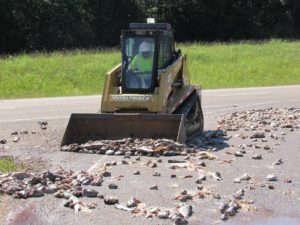 Something fishy: Catfish spill stinks up the Crossroads