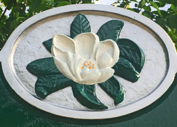 In the garden with Felder: Magnolias and Mississippi