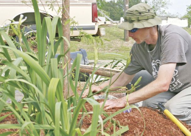 Southern Gardening: Use pleasant fall weather for landscape bed work