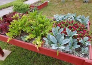 Southern Gardening: Gardening offers many stay-at-home benefits
