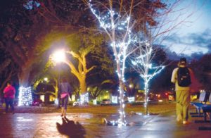 Creativity helps MUW light up for Christmas