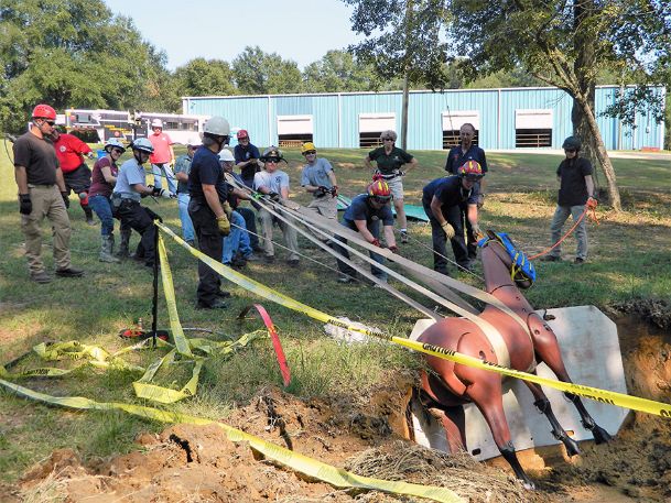 For creatures great and small: When disasters strike, volunteers stand ready to deploy