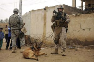 Lucca: A hero dog is remembered with display at Starkville’s library