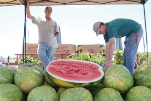 As heat rises, so does demand for watermelons