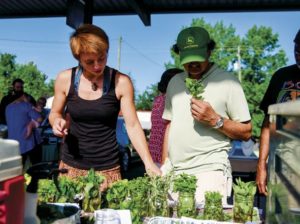 Anne’s Kitchen: Market bounty yields summer feasts