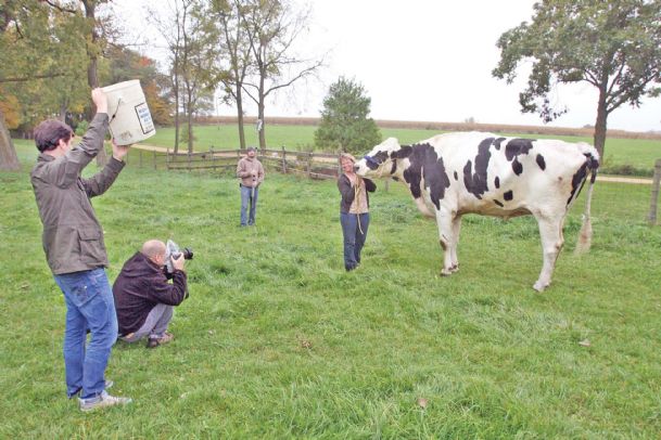 Illinois pet dubbed world’s tallest cow