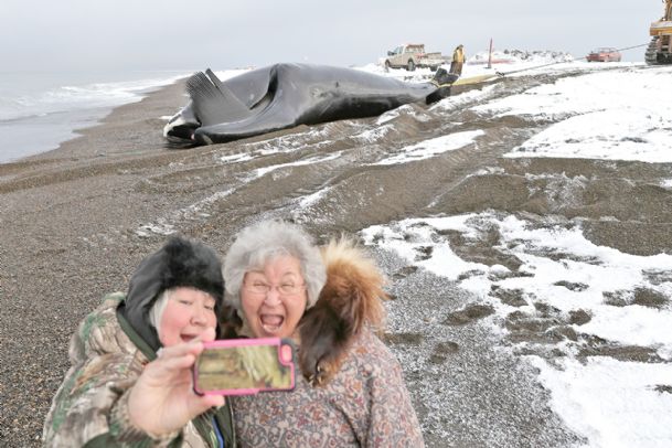 Hunting for whale and votes above the Arctic Circle