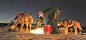 Mushing family a strong presence in Iditarod Trail Sled Dog Race