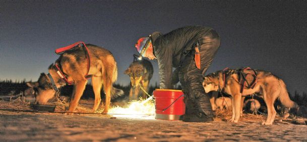 Mushing family a strong presence in Iditarod Trail Sled Dog Race