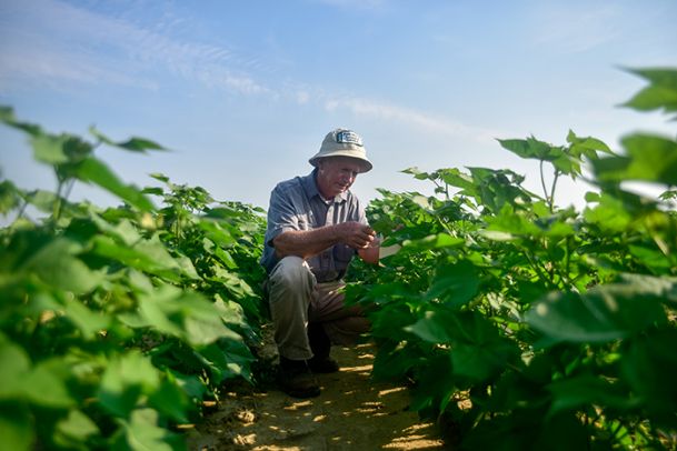 Photo: High Cotton