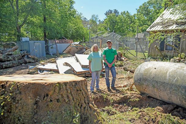 Cedarhill suffers damage  from felled tree in Thursday storm