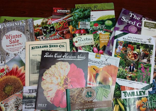 Southern Gardening: Garden catalogs feed garden fever all winter