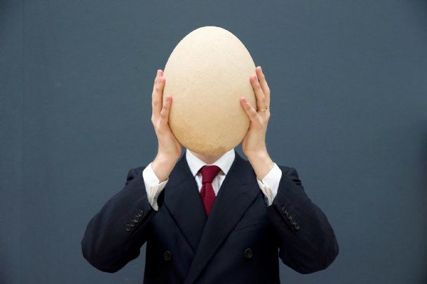 Huge elephant bird egg auctioned in UK