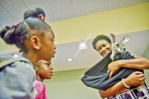 Kangaroo, other exotic animals visit library