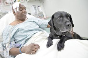 Blind man, guide dog safe after subway track fall