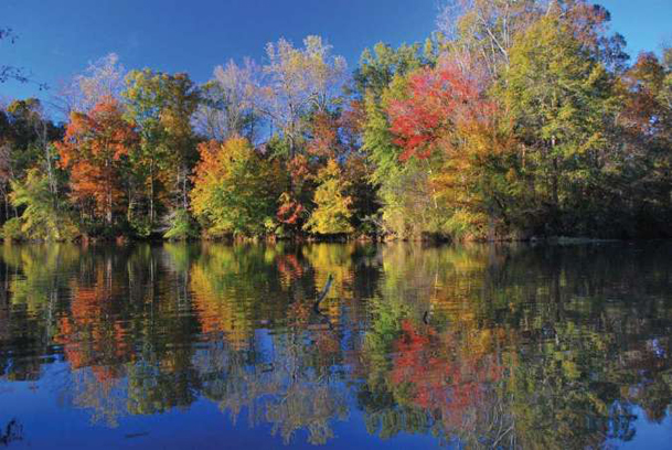 Autumn morning: Photos by Laird Bagnall