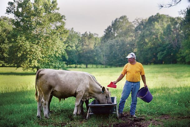 Back to basics: Area growers face increasing demand for locally sourced foods