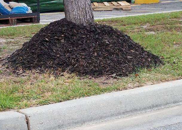 Southern Gardening: Don’t make volcanoes when applying landscape mulch