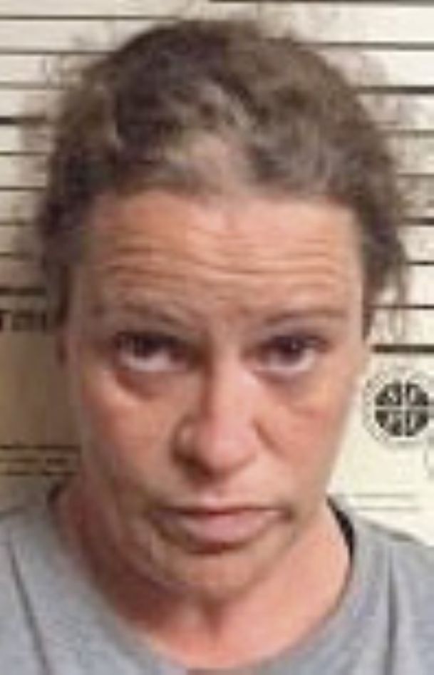 Louisville woman faces drug charges, falsifying info