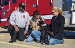 Columbus fire department trains two new puppies for search and rescue