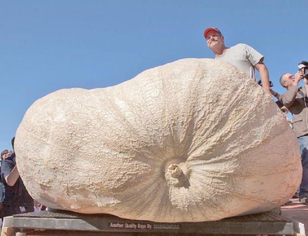 Plumpest pumpkin: 2,058-pound gourd sets record