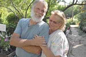 Partial to Home: Growing Aunt Zada’s white eggplant