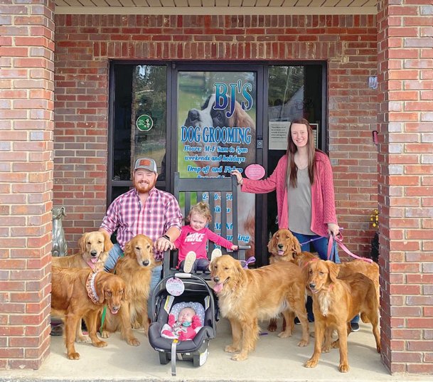 Monday Profile Columbus Couple Cares For Golden Retrievers Other Dogs Through Two Businesses The Dispatch