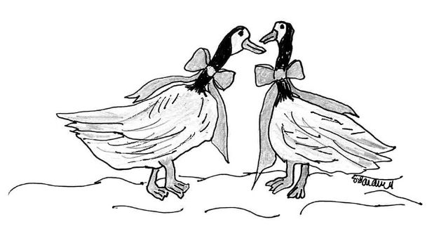 Possumhaw: A goose and a gander
