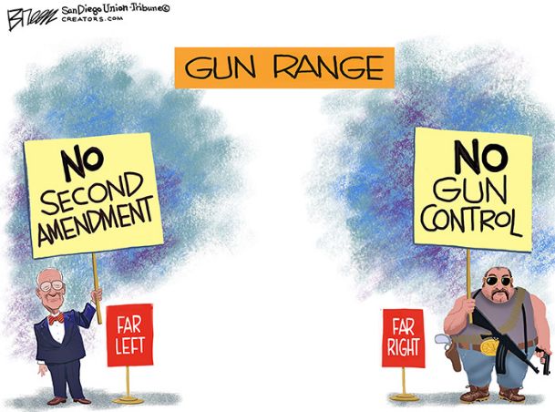 Where’s the common sense in ‘common sense’ gun laws?