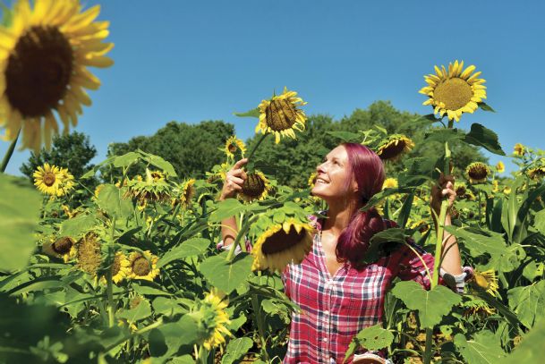 It’s sunflower time. Smile … c’mon, you know you want to