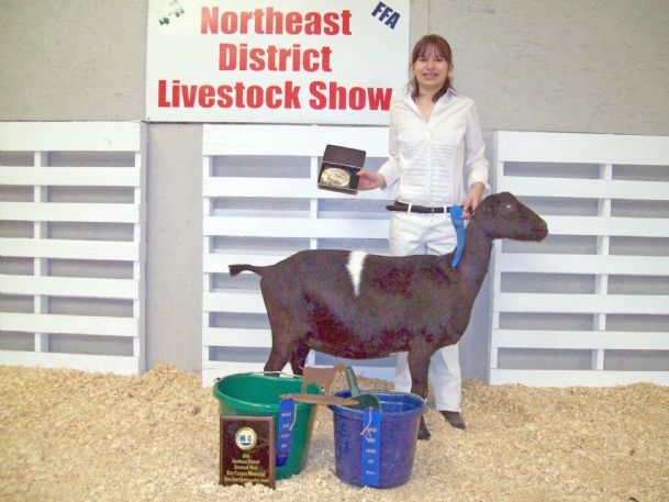 Lowndes 4-H youth brings home awards