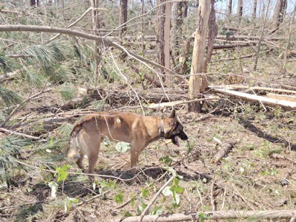 Doty and her dogs aid in grim task of Louisville tornado search