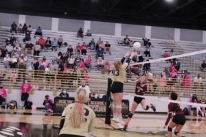 New Hope volleyball sweeps Caledonia in fourth annual Dig Pink Game