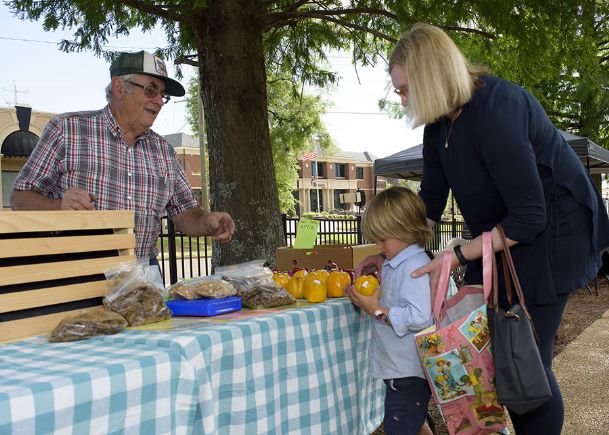 Moms invited to sign up for Farm Fresh tour