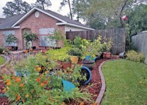 Southern Gardening: Last-minute preparations save gardens from storms