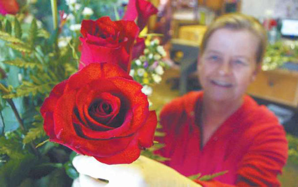 War of the roses:  This Valentine’s Day, flower shops fight to stay competitive despite higher costs