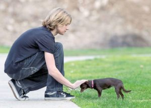 Growing animal rescue group is work of teen actor