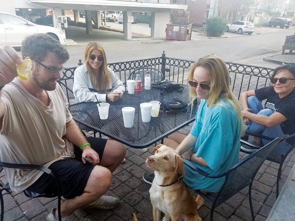 Starkville seeks to legally protect restaurants that allow dogs on patios