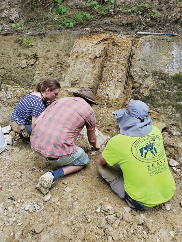 Starkville site studied for evidence of mass extinction 66 million years ago