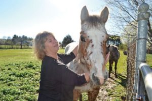 Monday profile: Eads provides a shelter for animals in need