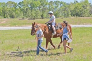 Equine group donates to MSU Therapeutic Riding Center