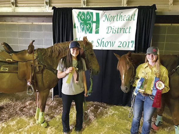 4-H youth represent county, region at equine competitions