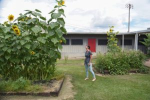 Oak Hill plans greenhouse, garden for outdoor education