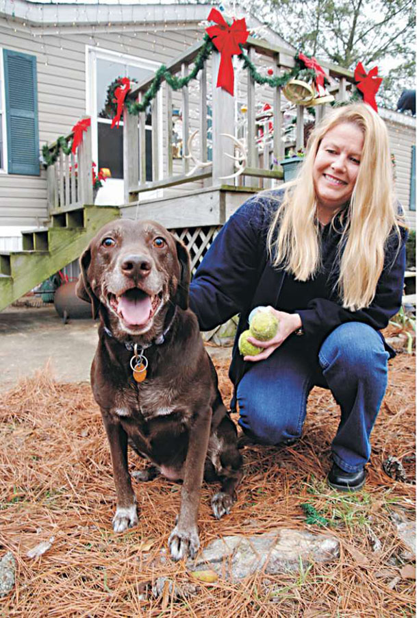 Fat cats (and dogs): Owners are feeding their pets too much, leading to health problems