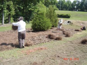 Master Gardener training coming to Columbus in February