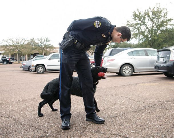 CPD adds explosive-detecting dog to force