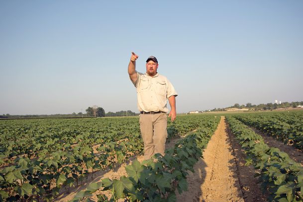 Heat wave’s effect on farming uncertain