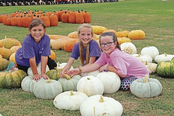 Pumpkin time: Pumpkins are for more than just decorating